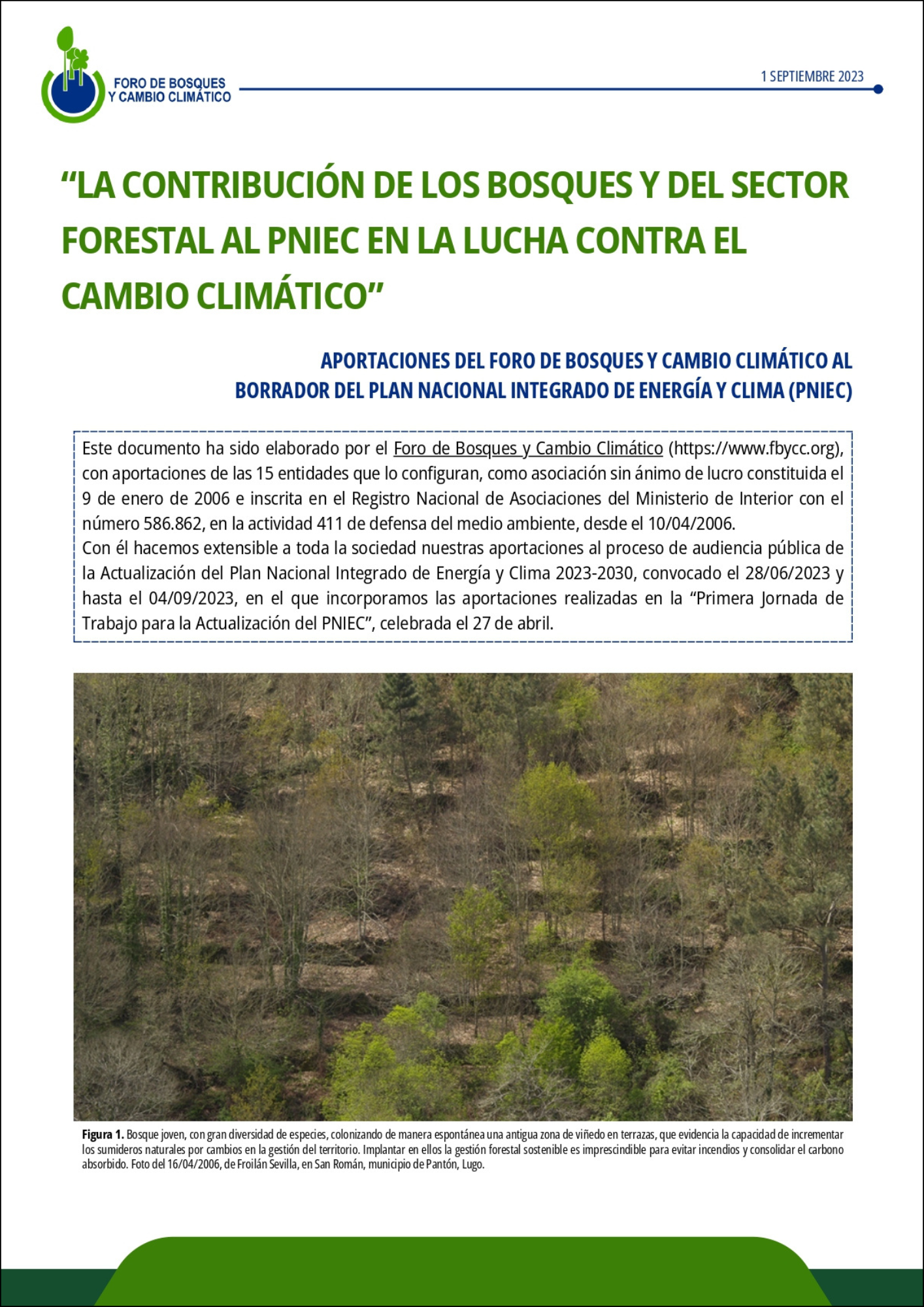 Portada Alegaciones PNIEC