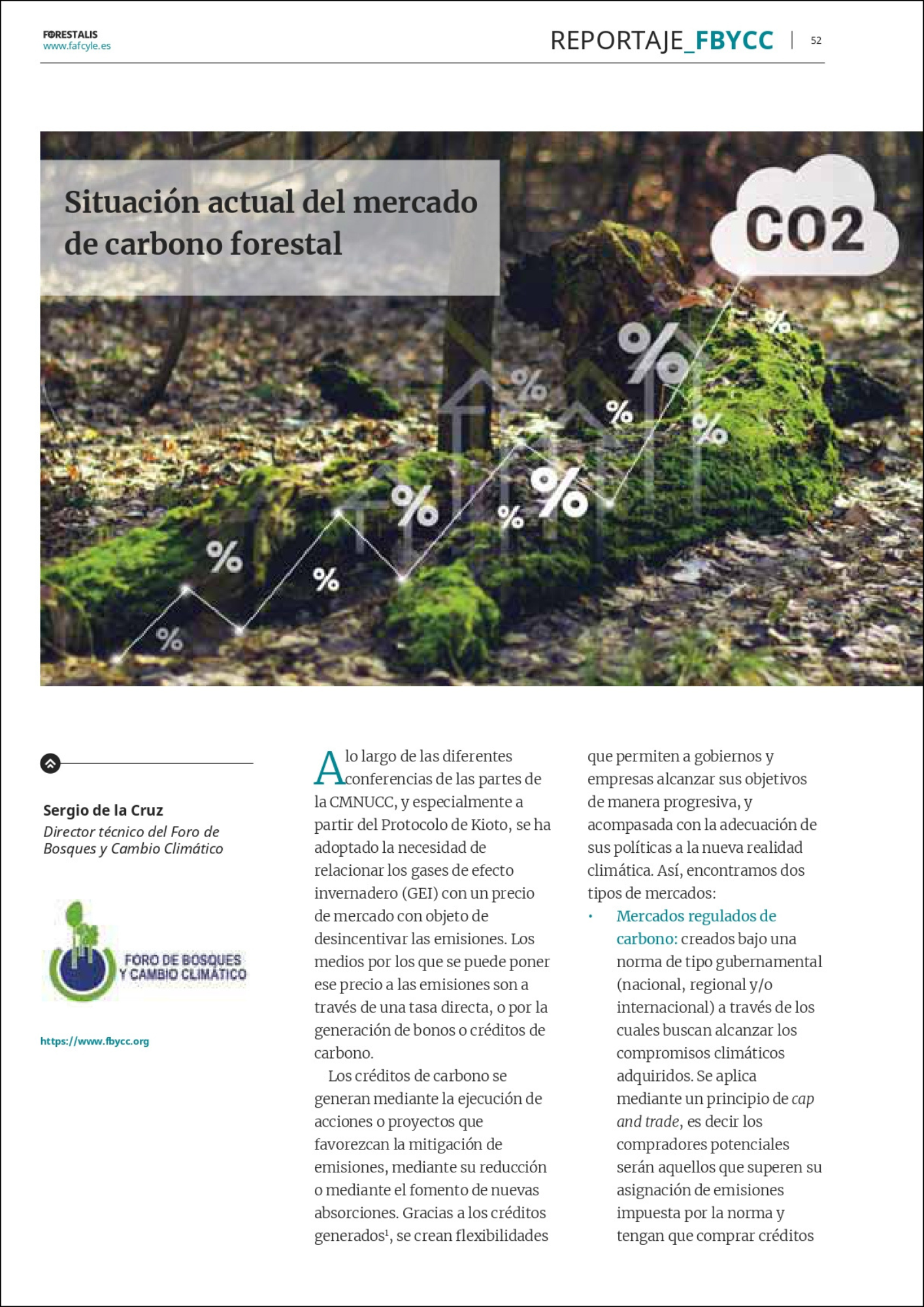 Portada Situación actual del mercado de carbono forestal